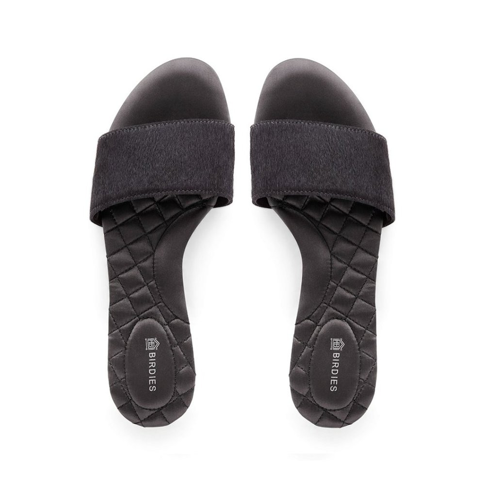 birdies - the sparrow